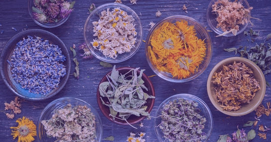 Discover the Magic of Herbs and Tea: A Journey Through Psychonaut's Enchanted Collection